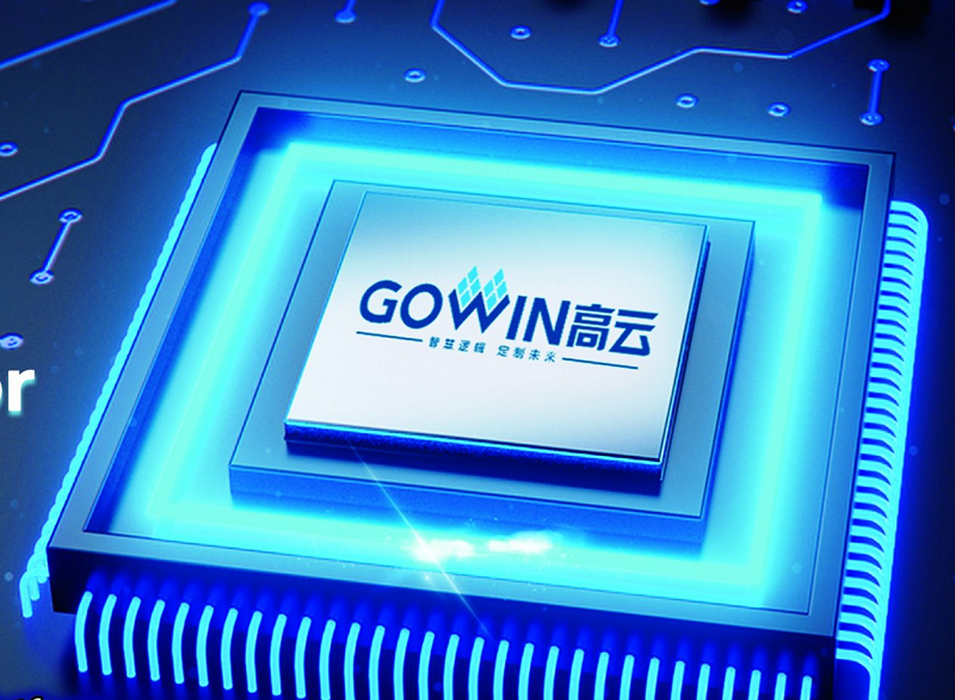 Gowin fpgas