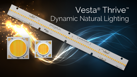 Bridgelux Vesta Thrive