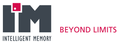 Intelligent memory logo